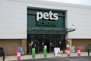 Pets at Home Colne image