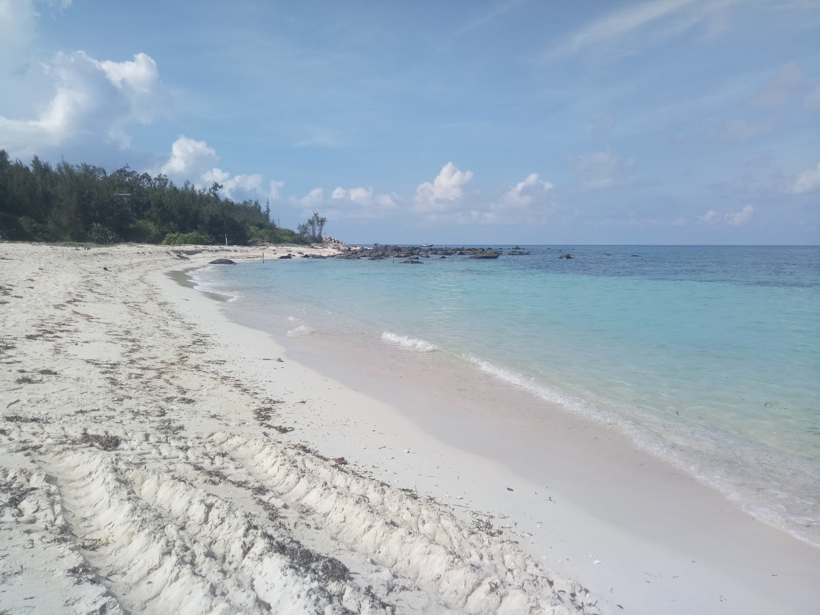 Zdjęcie Park Beach z przestronna linia brzegowa