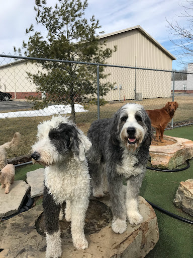 Pet Store «Happy, Clean and Smart», reviews and photos, 5700 W Kilgore Ave, Muncie, IN 47304, USA