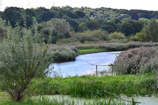 Rodley Nature Reserve