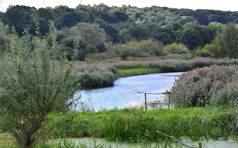 Rodley Nature Reserve image