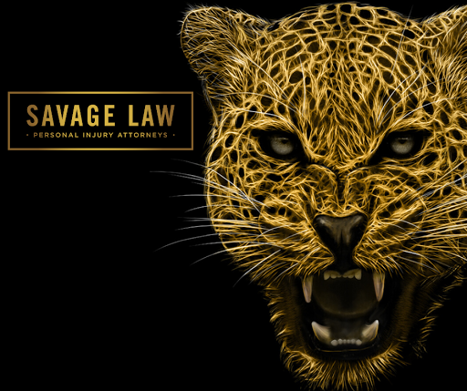 SAVAGE LAW