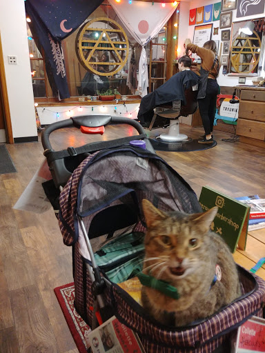 Barber Shop «Traunik Barbershop», reviews and photos, 4022 N Wilson Dr, Shorewood, WI 53211, USA