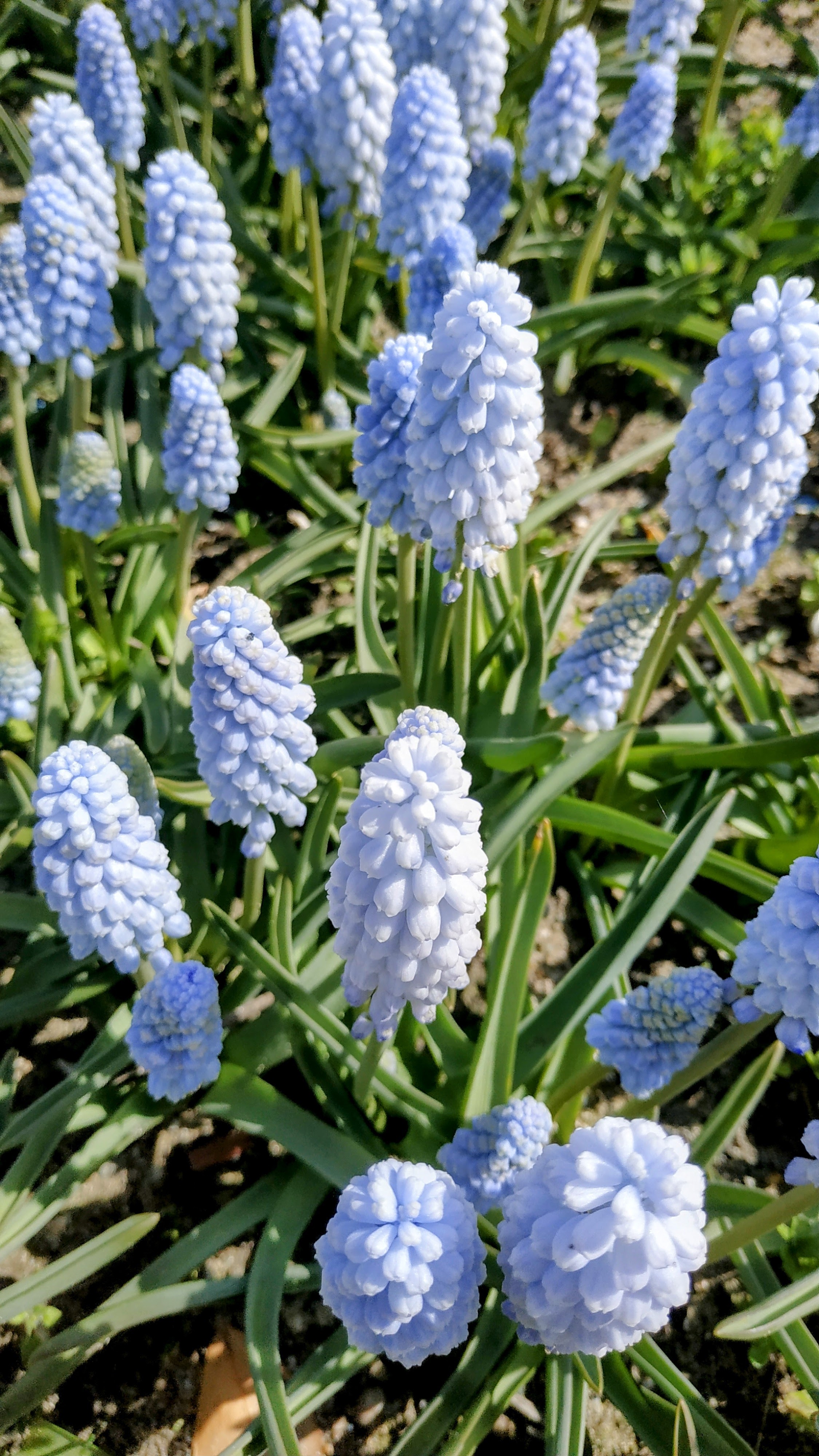 Photo n° 16 de l'avis de The.a fait le 05/04/2023 à 21:57