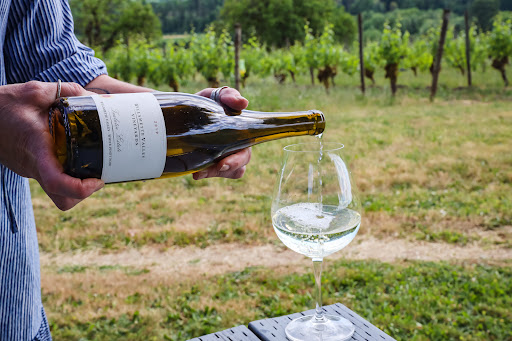 Vineyard «Tualatin Estate Vineyard», reviews and photos, 10850 NW Seavey Rd, Forest Grove, OR 97116, USA