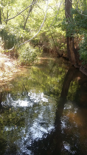 Golf Course «Washoe County Golf Course», reviews and photos, 2601 Foley Way, Reno, NV 89505, USA