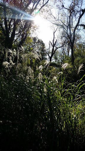 Wedding Venue «Historic Savage Mill Manor», reviews and photos, 8502 Fair St, Savage, MD 20763, USA