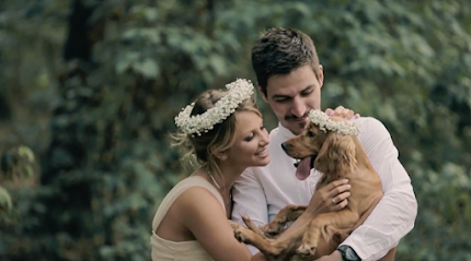 Wedding Bliss Pet Care