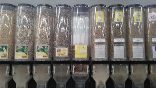 Pet Supply Store «Blackwinds Pet Supplies», reviews and photos, 2494 Military Rd, Niagara Falls, NY 14304, USA