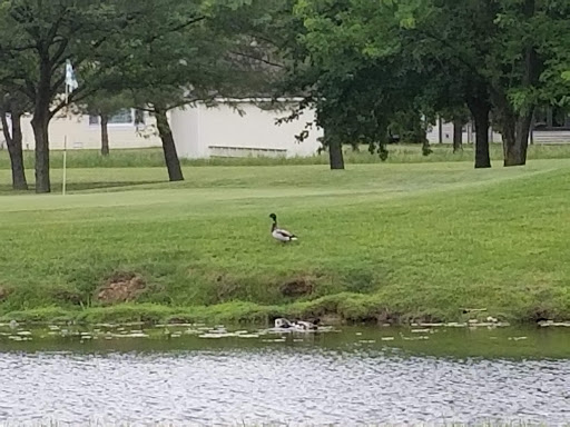 Golf Course «Otte Golf & Family Fun Center», reviews and photos, 681 Sheek Rd, Greenwood, IN 46143, USA