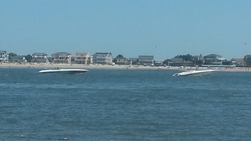 Aquarium «Atlantic City Aquarium», reviews and photos, 800 N New Hampshire Ave, Atlantic City, NJ 08401, USA