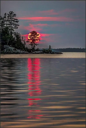 Winery «Three Brothers Vineyard and Winery», reviews and photos, 2411 NE 244th St, Ridgefield, WA 98642, USA