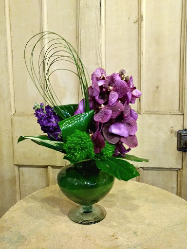 Florist «Alamo Plants & Petals», reviews and photos, 119 W Sunset Rd, San Antonio, TX 78209, USA