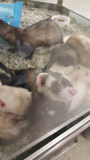 Pet Supply Store «Petco Animal Supplies», reviews and photos, 280 Kensington Blvd, Slidell, LA 70458, USA