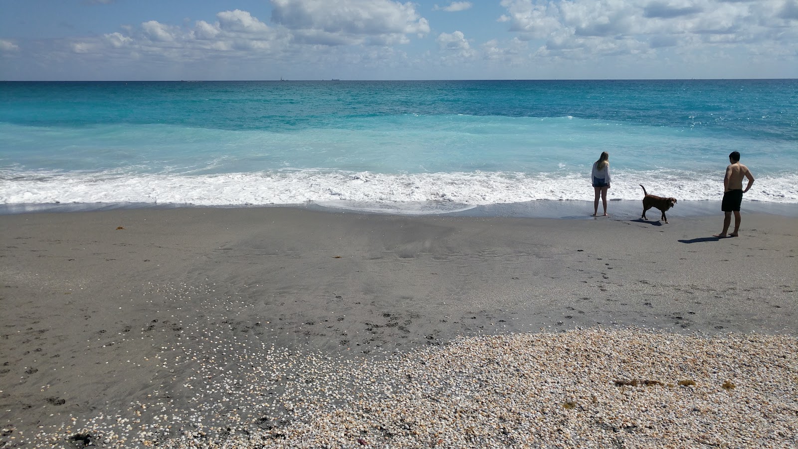 Zdjęcie Jupiter Dog beach z poziomem czystości głoska bezdźwięczna