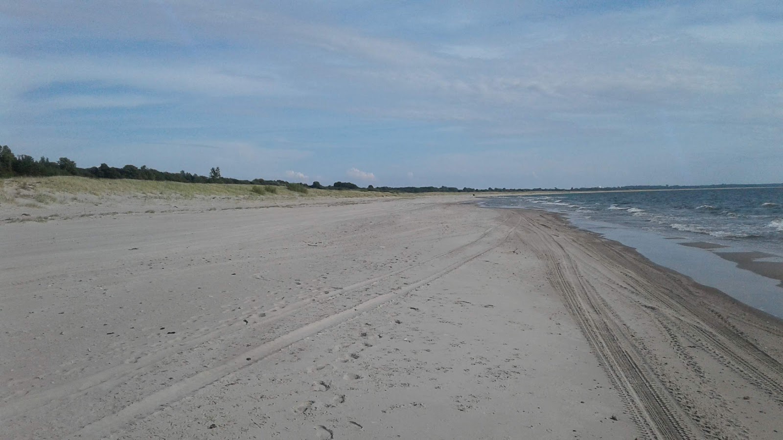 Yantarnyy Bereg beach'in fotoğrafı imkanlar alanı