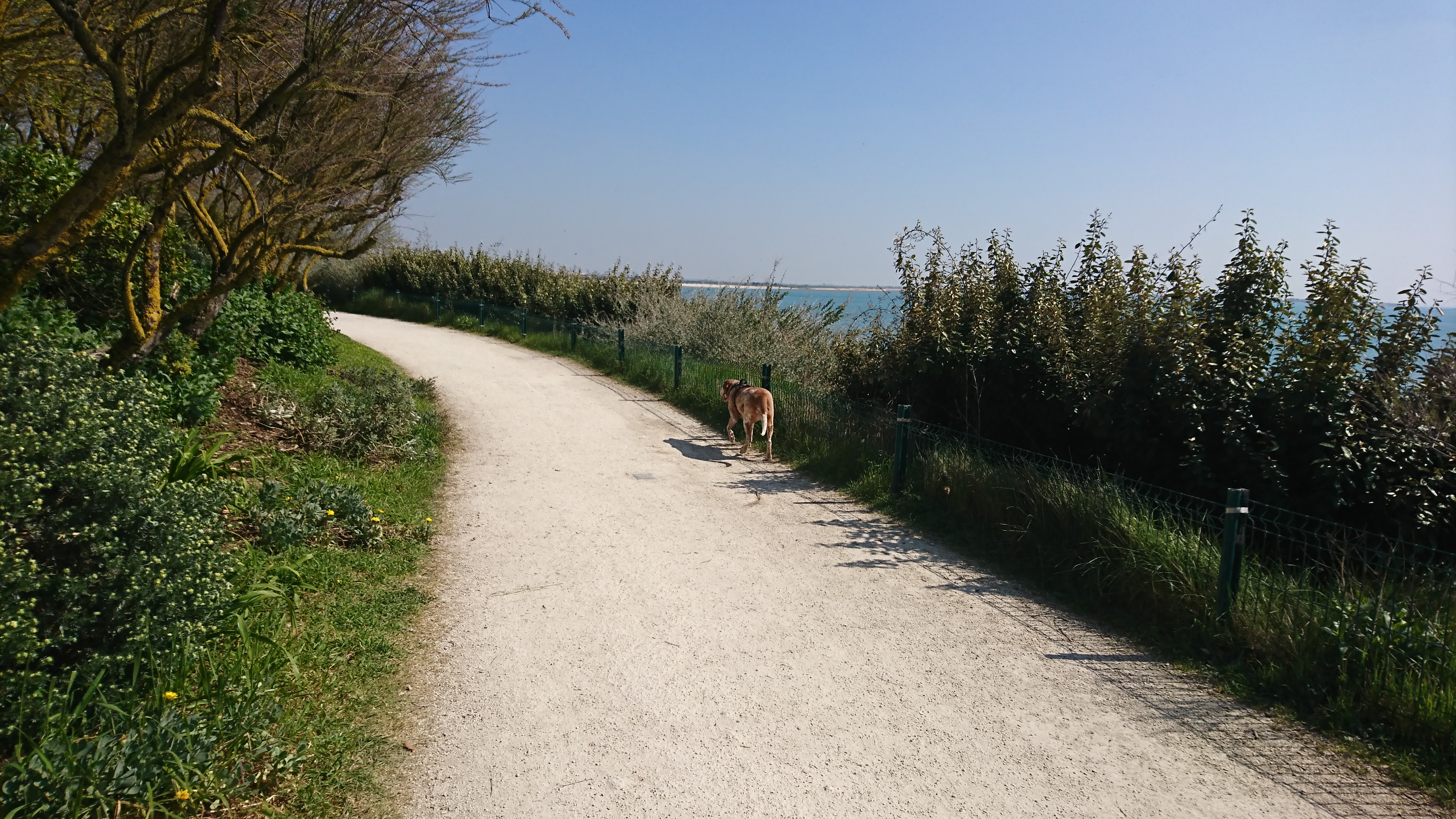 Photo n° 1 de l'avis de Cassy.a fait le 28/03/2019 à 15:07