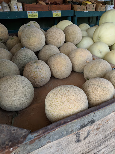 Produce Market «Ikedas Markets», reviews and photos, 26295 Mace Blvd, Davis, CA 95618, USA