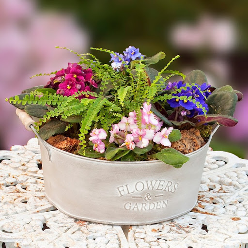 Florist «Stadium Flowers», reviews and photos, 20728 WA-99, Lynnwood, WA 98036, USA