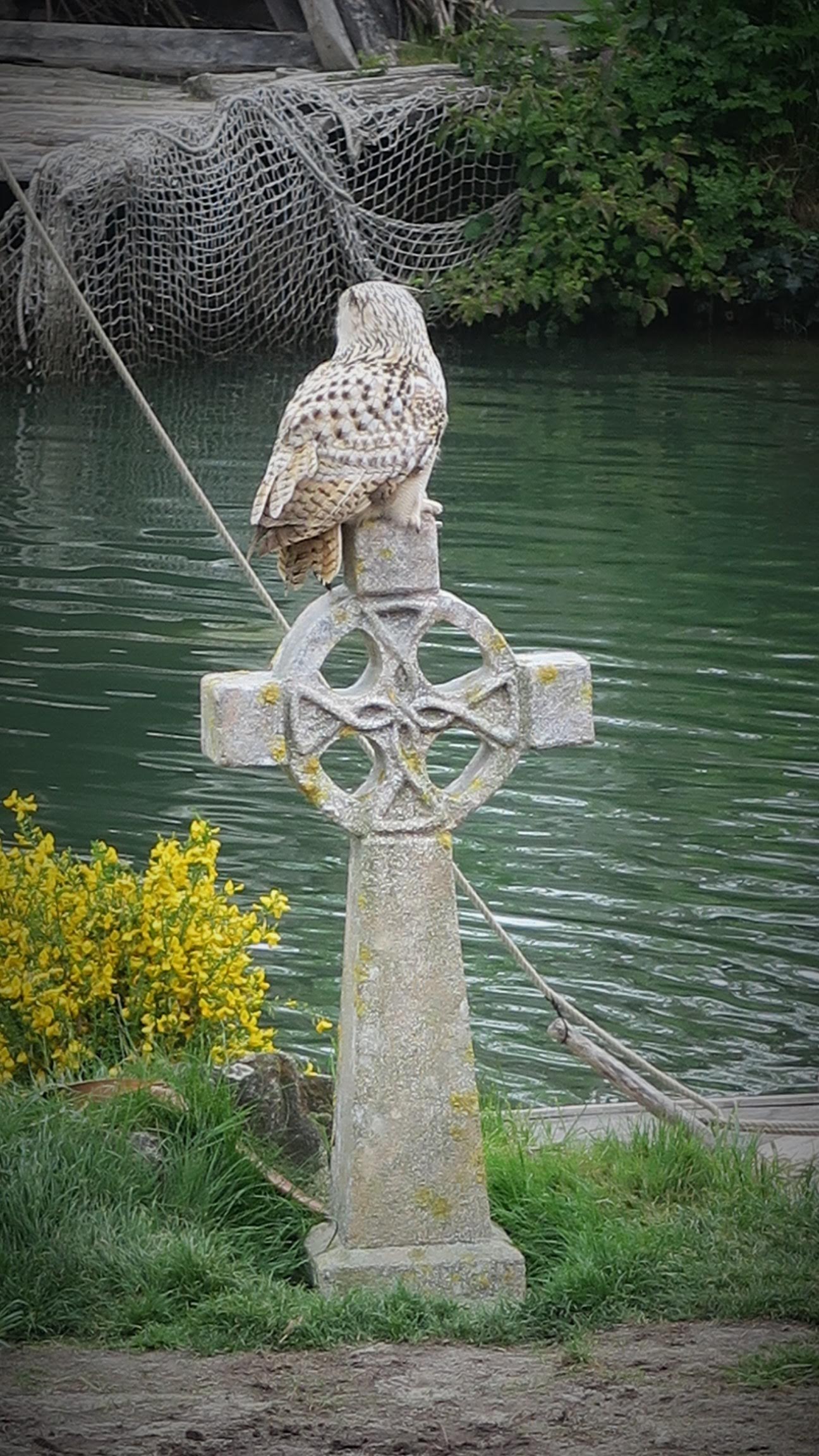 Photo n° 1 de l'avis de L-A. fait le 17/05/2019 à 18:21