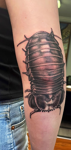 Explore alpha tattoo ideas, creative tattoo ideas in Girard, available at Empress Tattoos FKA Treehouse Tattoo