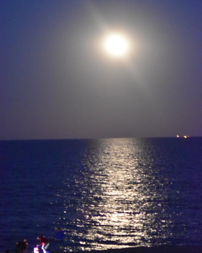 Bicycle Rental Service «Ocean Rentals Ltd.», reviews and photos, 577 Sandbridge Rd, Virginia Beach, VA 23456, USA