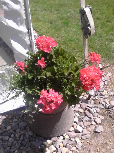 Winery «Chankaska Creek Ranch & Winery», reviews and photos, 1179 E Pearl St, Kasota, MN 56050, USA