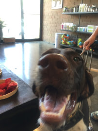 Pet Wants: The Urban Feed Store - Photo 7 - Car repair in Charlotte, NC, Charlotte