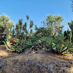 Photo n°4 de l'avis de Antoni.l fait le 11/07/2023 à 15:22 sur le  Colleverde Park Hotel à Agrigento