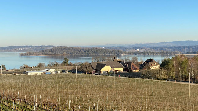 Domaine de la ville de Berne - Rebgut Stadt Bern