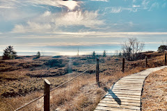 Kohler-Andrae State Park