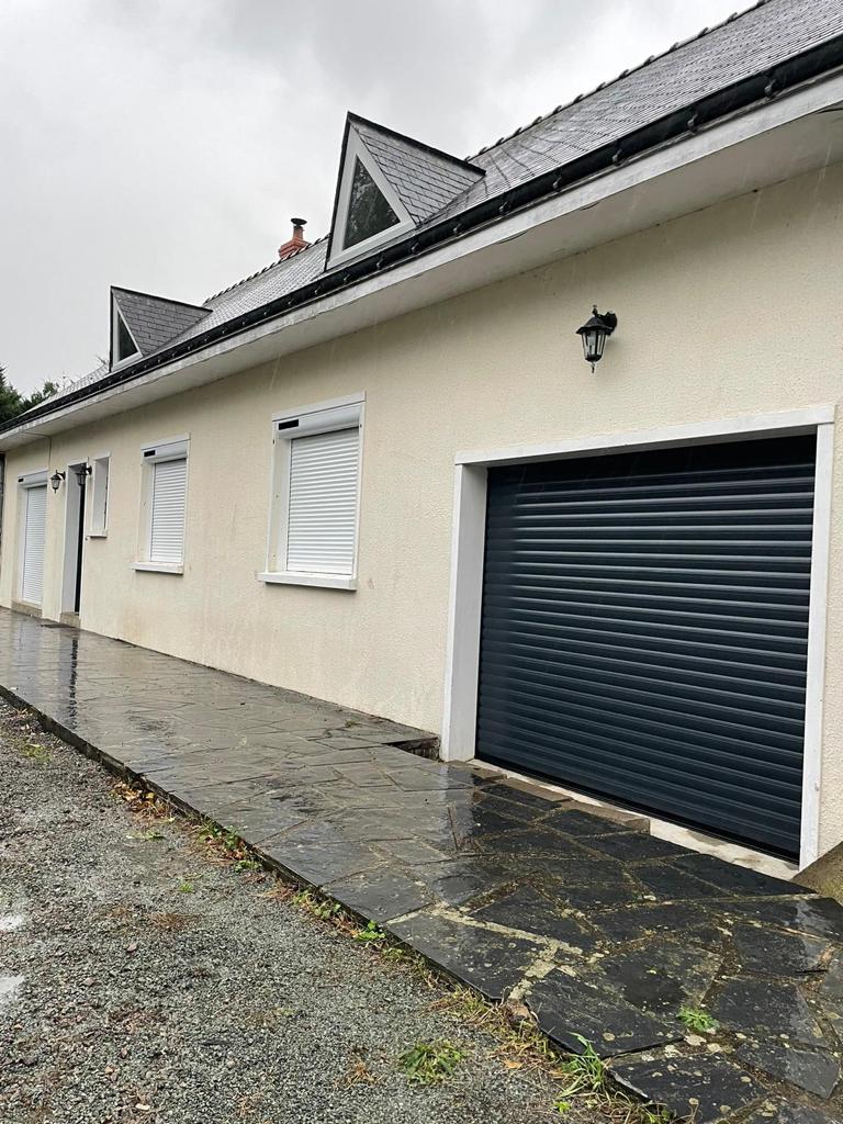 Photo n° 1 de l'avis de LOISEAU.e fait le 29/10/2023 à 11:58