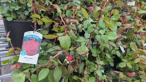 Plant Nursery «Rockin E Country Store», reviews and photos, 1201 W 500 S, Woods Cross, UT 84087, USA