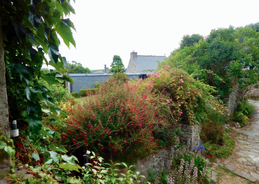 Photo n° 3 de l'avis de neveux-lestrohan.h fait le 18/08/2018 à 06:37
