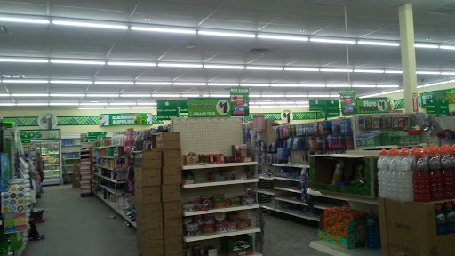 Dollar Store «Dollar Tree», reviews and photos, 383 Allen St, Springfield, MA 01118, USA