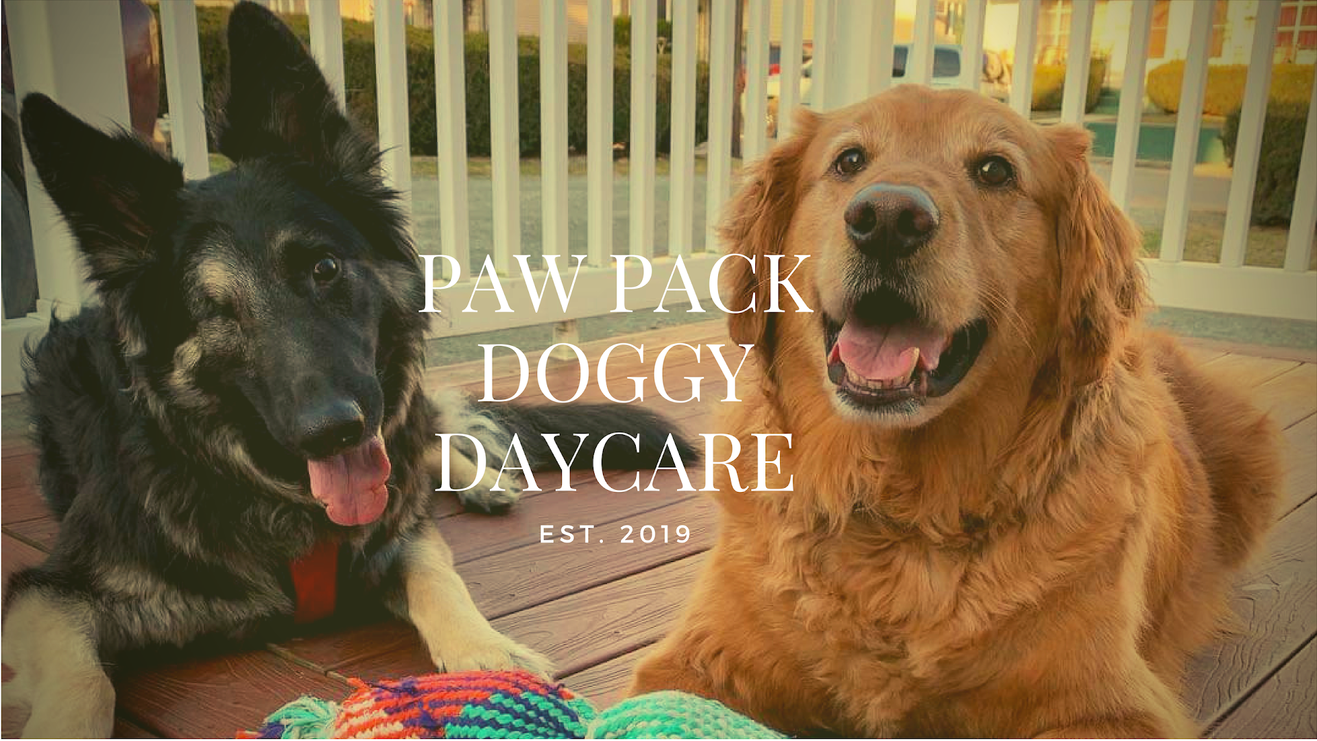 Paw Pack Doggy Daycare