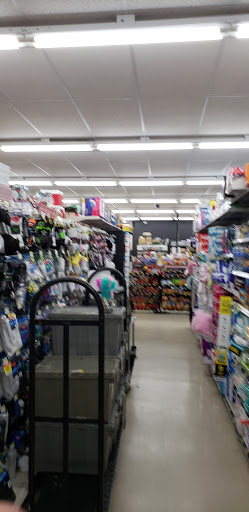 Discount Store «Dollar General», reviews and photos, 180 State Rte 415, Osteen, FL 32764, USA