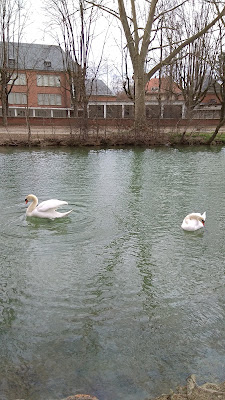 Ecoles Elémentaires à Mulhouse