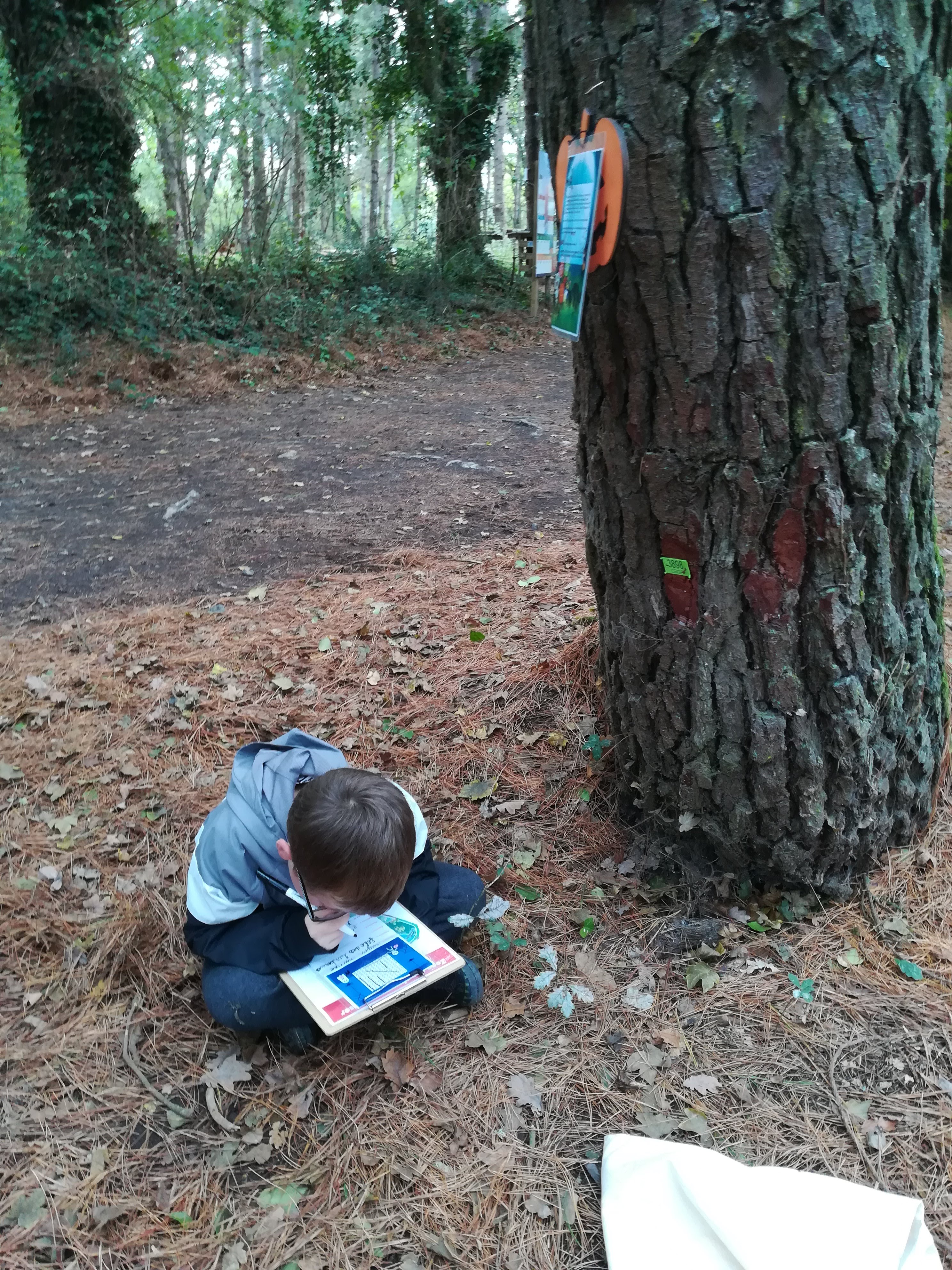 Photo n° 2 de l'avis de Irina.i fait le 15/11/2022 à 09:54