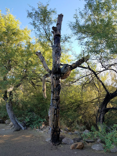 Country Club «Ventana Canyon Golf & Racquet Club», reviews and photos, 6200 N Club House Ln, Tucson, AZ 85750, USA