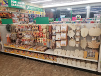 Dollar Tree - Photo 2 - Car repair in Dunedin, FL, Clearwater