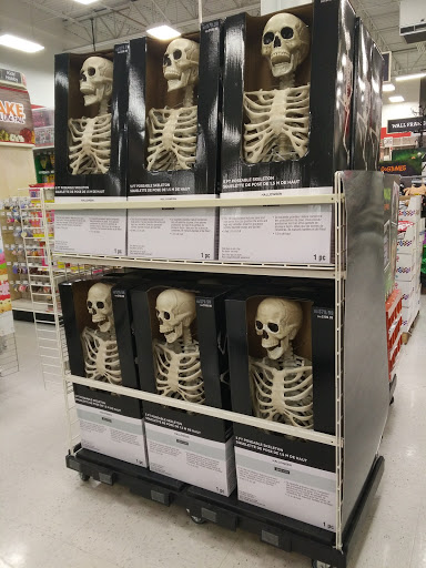 Craft Store «Michaels», reviews and photos, 7131 Coastal Blvd, Brooksville, FL 34613, USA