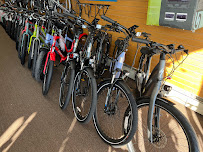 Stoney Creek Bike - Photo 4 - Car repair in Washington, MI, Warren
