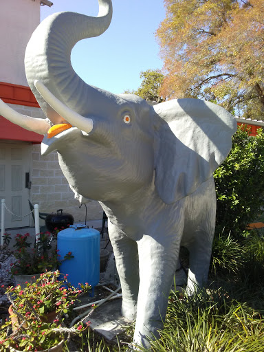 Self-Storage Facility «Zephyr Mini Storage», reviews and photos, 37148 FL-54, Zephyrhills, FL 33542, USA