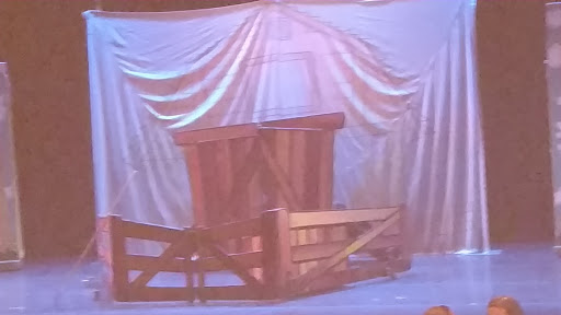 Performing Arts Theater «Diana Wortham Theatre», reviews and photos, 18 Biltmore Ave, Asheville, NC 28801, USA