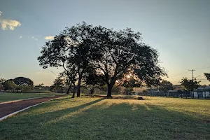 Park Ayrton Senna image