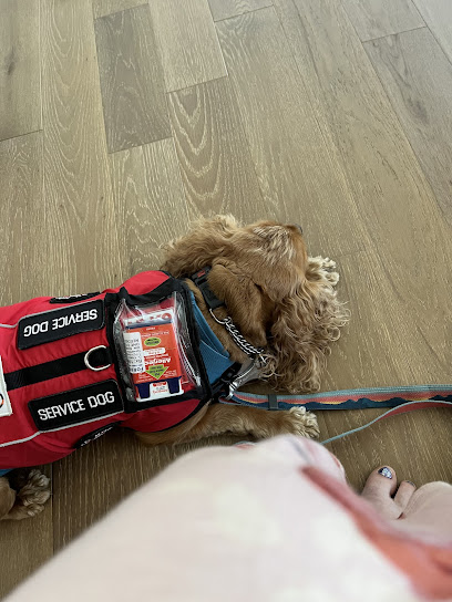 Pawsitively Service Dogs