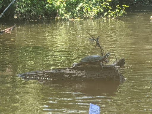 Golf Course «Ocean County Golf Course», reviews and photos, 301 Chambersbridge Rd, Brick, NJ 08723, USA