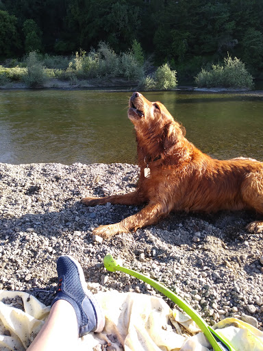 Pet Supply Store «Pet Club Santa Rosa», reviews and photos, 1935 Santa Rosa Ave, Santa Rosa, CA 95407, USA