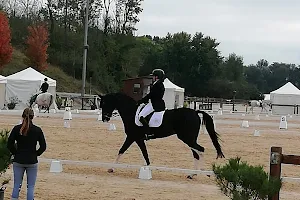 Parc Du Cheval Rhône-Alpes image